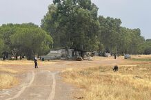 Homem mata filho a tiro na Amareleja; Polícia Judiciária investiga o caso