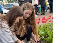 Jovens acendem velas num tributo com flores vermelhas