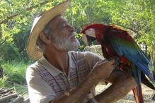 Elenco da Globo em choque com morte de atores