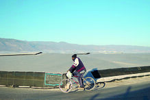 Agricultor de bicicleta denuncia políticas de imigração na Dinamarca