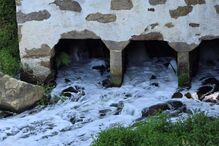 Poluição no rio UI revolta população de Oliveira de Azeméis