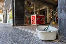 Assalto a café em Coimbra evitado por cães Kiko e Simba