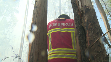 Incêndio em habitação mobiliza vários meios em Ponte de Lima 