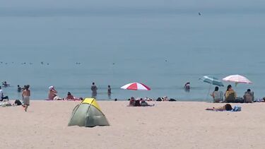 “Está sensacional”: banhistas aproveitam a praia em Matosinhos  