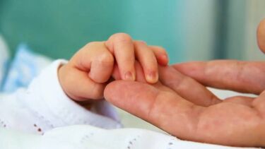 'Baby boom': Há 14 anos que não nasciam tantos bebés