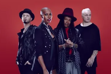 Skunk-anansie.webp