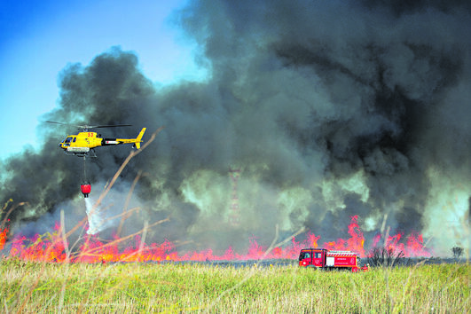 Empresa com ligações a familiares de Leitão Amaro ganha mais de 11,9 milhões em concurso de helis para combater fogos