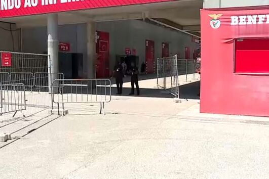 Adeptos pedem demissão de Rui Costa da presidência do Benfica