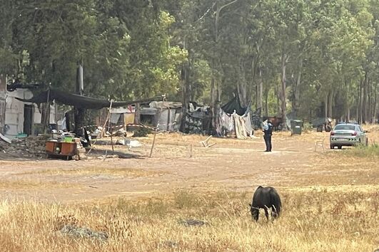 Incentiva o pai a matar o irmão a tiro em discussão por negócio com cavalo na Amareleja