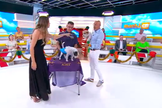 A arte do Grooming: o cuidado dos patudos começa no pelo