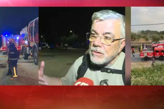 “Parecia que estava tudo a explodir”: passageiro relata momento em que comboio abalroa camião na linha da Beira Baixa  