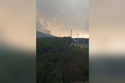 Incêndio em Castelo Branco mobiliza quase duas centenas de operacionais