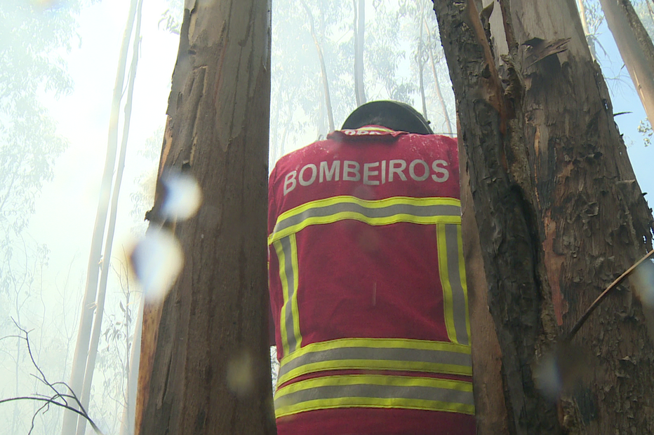 Comandante dos bombeiros de Mirandela acusado de desviar 120 mil euros