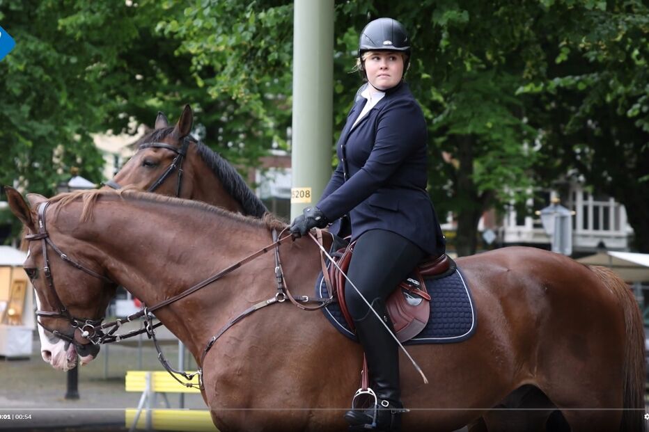 Princesa Catharina-Amália sofre queda de cavalo. Rainha Máxima acompanha a situação