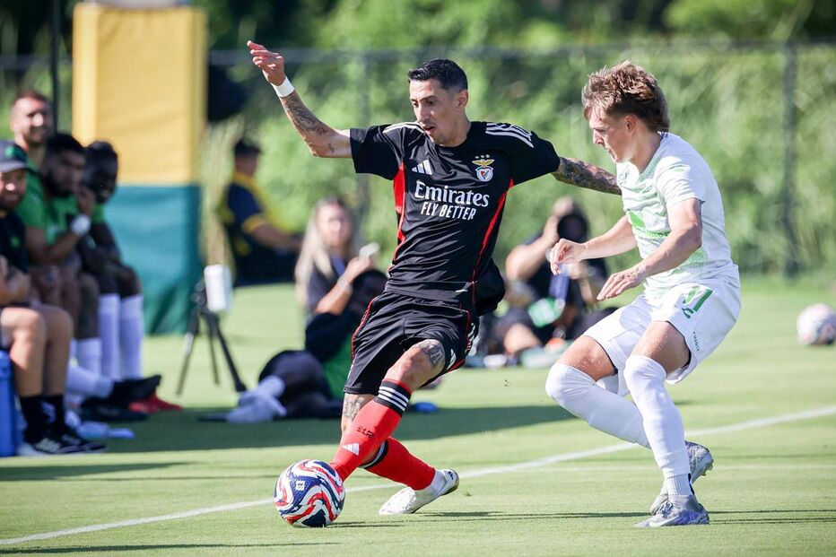 Di María marca no último jogo do Benfica antes do Mundial de Clubes