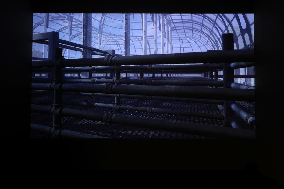 Serralves acolhe exposição 