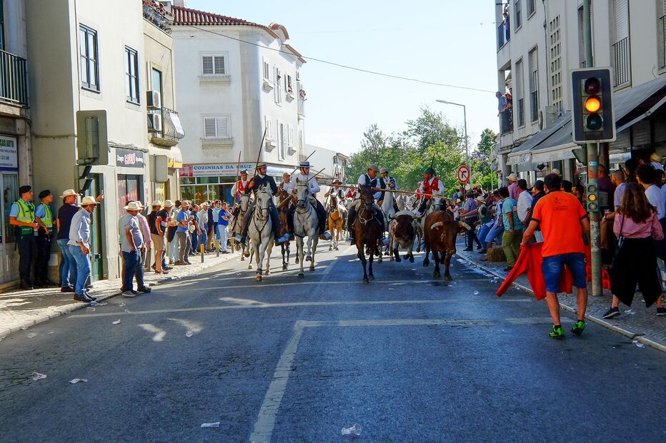 Benavente celebra amizade com largada de toiros e sardinha assada