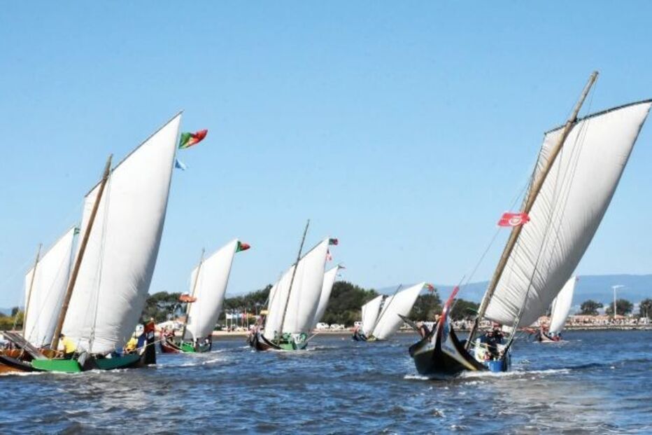 Regata de moliceiros na Ria de Aveiro, entre a Murtosa e Aveiro.
