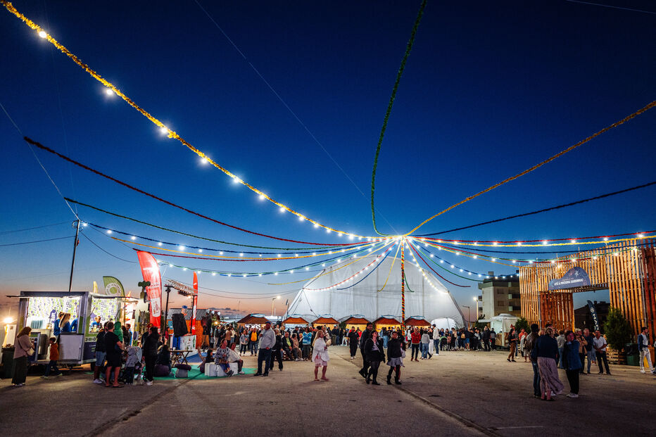 Festival da Sardinha anima a Praia do Pedrógão com música, tasquinhas e tradição