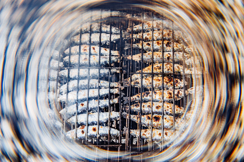 Festival da Sardinha na Praia do Pedrógão celebra cultura e gastronomia local