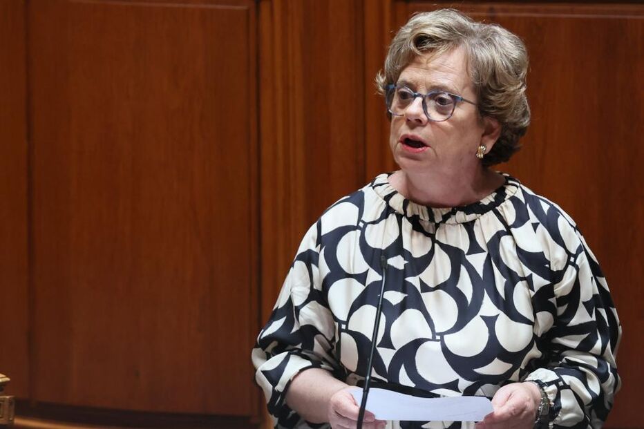 Maria Lúcia Amaral fala sobre segurança interna no Parlamento