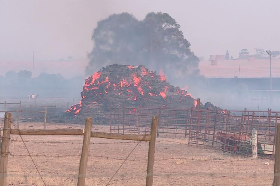 Incêndio em Aljustrel: chamas consomem 1.000 hectares e bombeiros recebem assistência