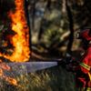 <![CDATA[ Populares ajudaram bombeiros quando fogo se aproximou de aldeia no Alvão em Vila Pouca de Aguiar ]]>