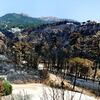<![CDATA[ Sintra restrige circulação na serra e Monte da Lua fecha monumentos devido ao risco de incêndio ]]>