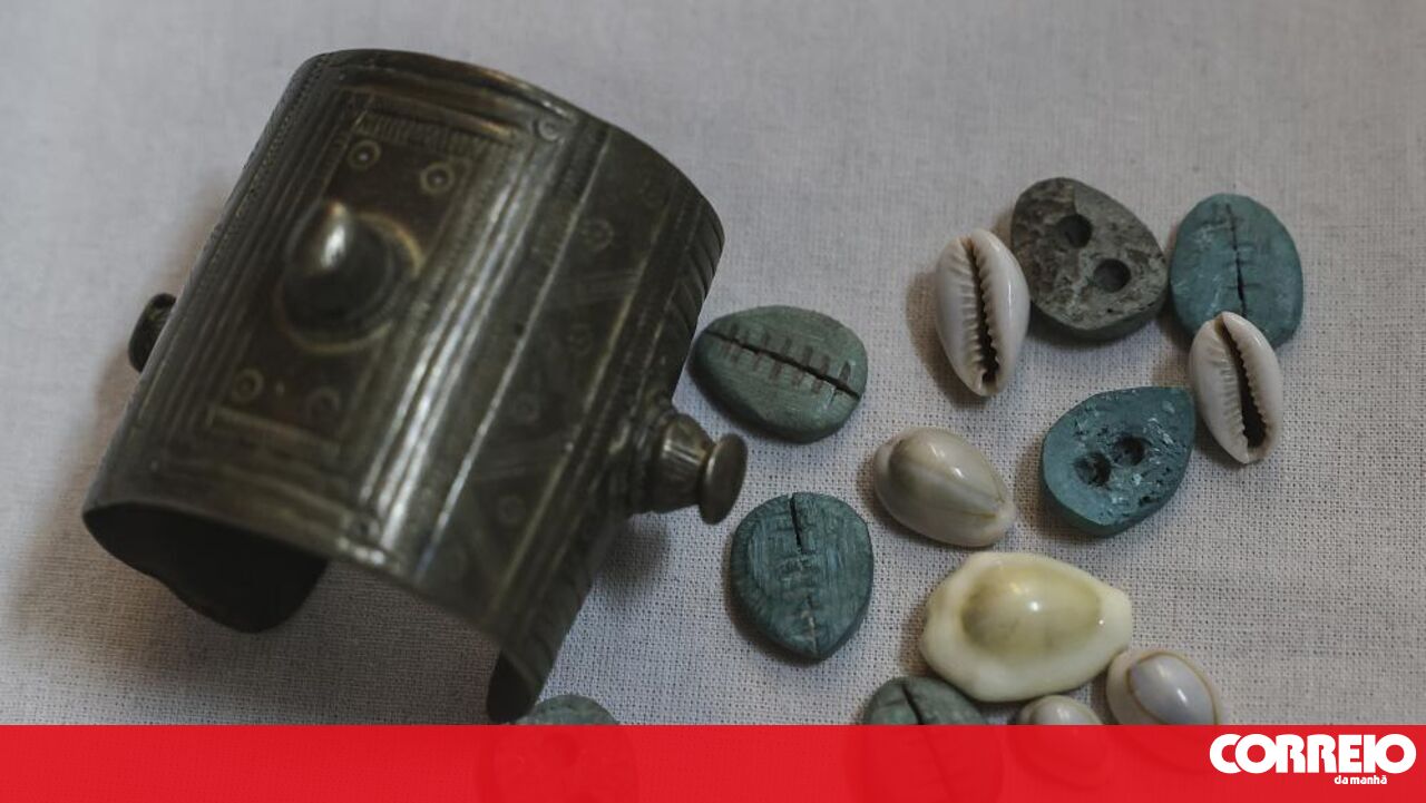 Discover the Dark History of Caurins: The Shells Used to Buy Slaves in Portugal