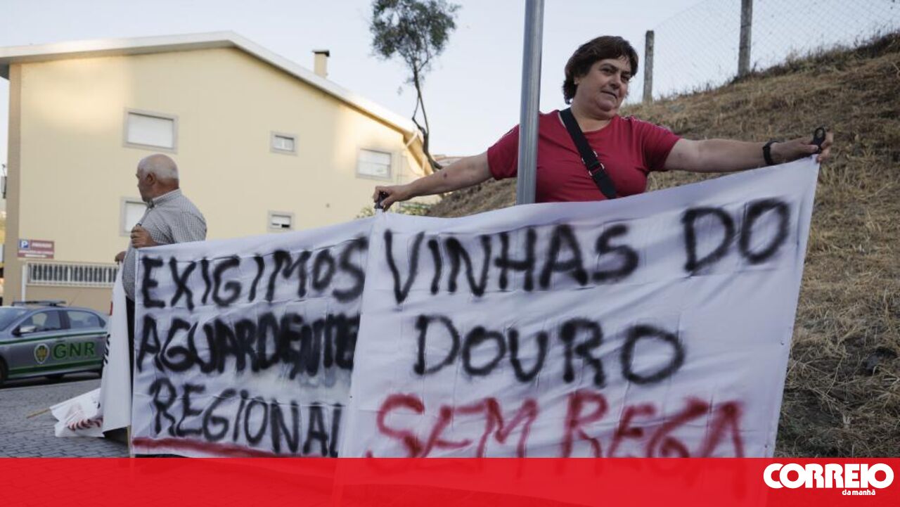 Douro Winemakers Take a Stand: Blocking Régua Bridge in Protest Against Crisis