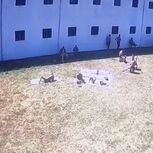 Imagens exclusivas mostram recluso a agredir, urinar e cuspir em outro preso na cadeia de Santa Cruz do Bispo 