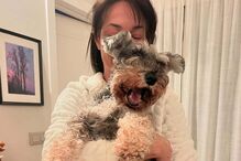 Paula Neves anuncia luto por perda importante, enquanto segura um cão.
