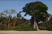Paisagem das ilhas Bigajós, que ambicionam ser Património Mundial da UNESCO