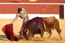 Sérgio Rollón sofre cornada grave na coxa durante tourada em Valdetorres de Jarama, Espanha