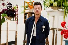 Harry Styles lança linha de bem-estar sexual 