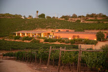 Arvad Sunset Sessions anima o Algarve com música, petiscos e vinhos