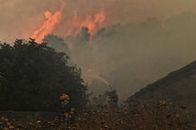 Grécia pediu ajuda europeia para combater fogos no país