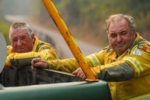  Elementos do Instituto da Conservação da Natureza e das Florestas