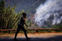 Fogo em Penamacor semeia miséria, destrói áreas e afeta rendimentos