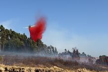 Fogo em Penamacor causa miséria e destrói meios de vida