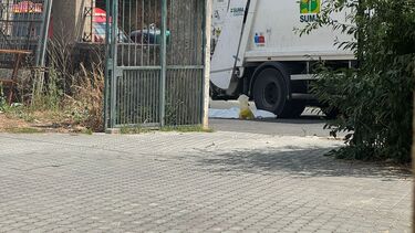 Idosa morre atropelada por camião do lixo em Loures