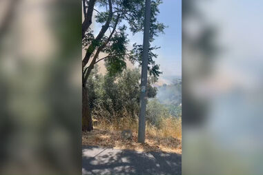 Incêndio consome zona de mato em Loures