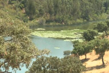 Jovem de 22 anos morre afogado em ribeira em Grândola