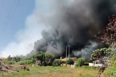 Escola básica evacuada devido a fogo em zona de mato na Maia