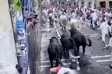 Loucura das corridas de touros de San Fermin volta a invadir as ruas de Pamplona