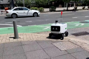 Frota de robôs faz entregas de encomendas de comida em Jersey City nos EUA