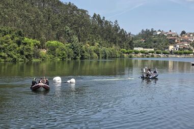 Corpo de mulher resgatado do Douro após despiste. Vítima tinha 67 anos