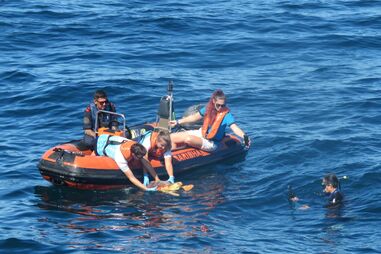 Tartaruga regressa ao mar no Algarve após tratamento no Zoomarine com apoio da Marinha