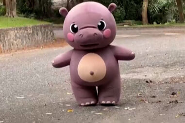 Jardim Zoológico tailandês realiza simulação com mascote para tranquilizar visitantes em caso de fuga de animais  