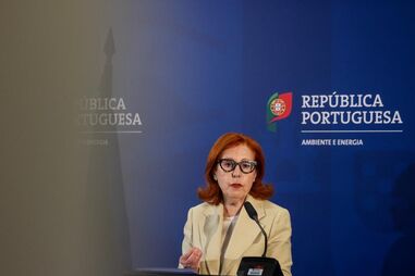 Maria da Graça Carvalho